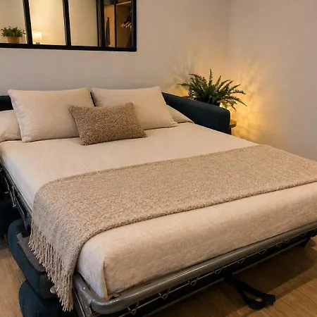 Appartement Vielle Magnifique 2 Pieces Plein Centre *