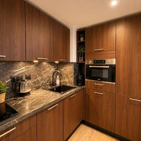 Vielle Magnifique 2 Pieces Plein Centre Appartement