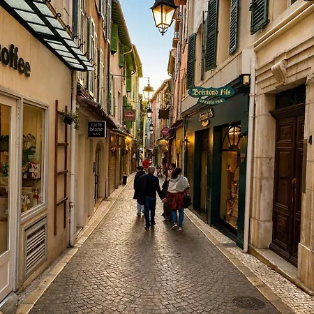 Vielle Magnifique 2 Pieces Plein Centre * Antibes